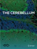 CEREBELLUM