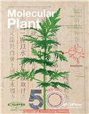 Molecular Plant