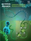 MUTATION RESEARCH-FUNDAMENTAL AND MOLECULAR MECHANISMS OF MUTAGENESIS