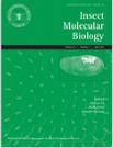 INSECT MOLECULAR BIOLOGY