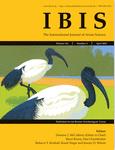 IBIS