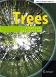 TREES-STRUCTURE AND FUNCTION