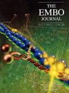 EMBO JOURNAL