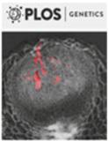 PLoS Genetics